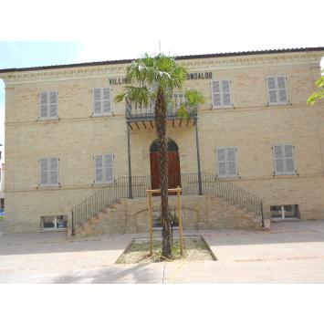 Villino Romualdo Ripe 61